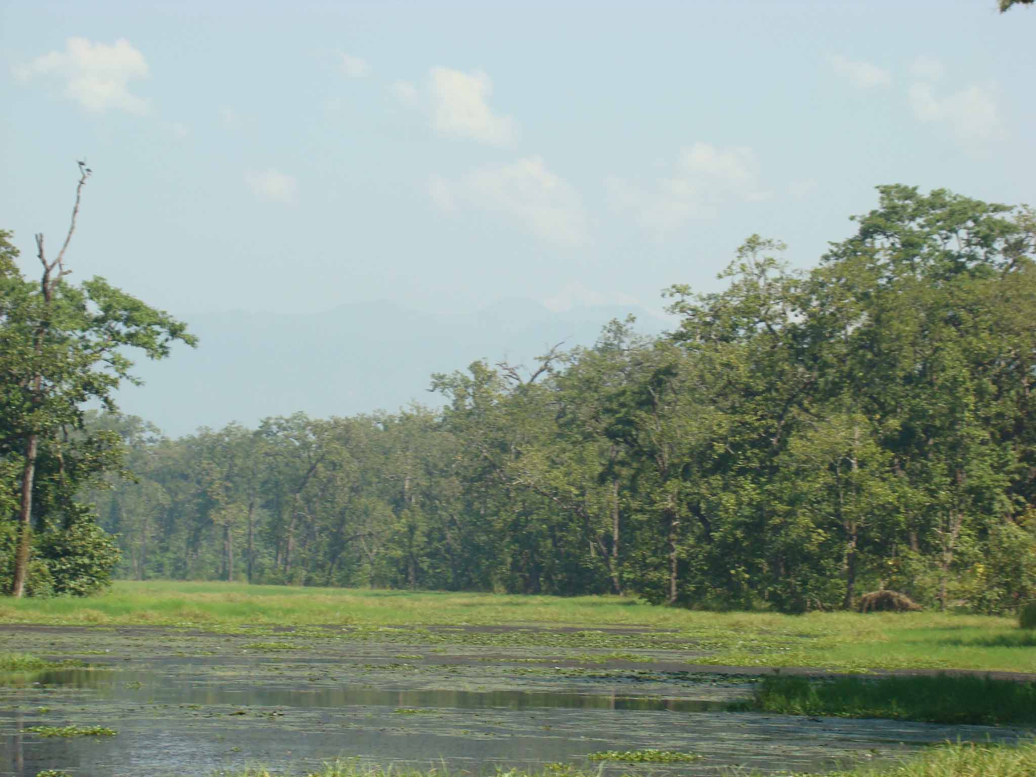 Chitwan: Harmony of nature and community
