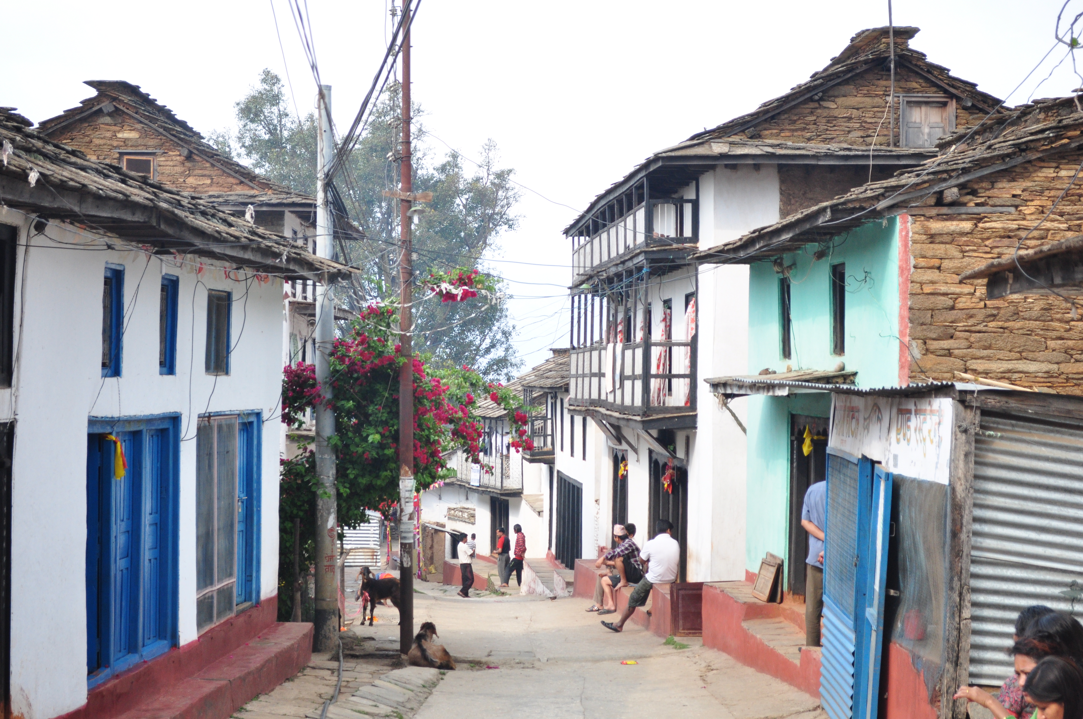 Nepali Trails